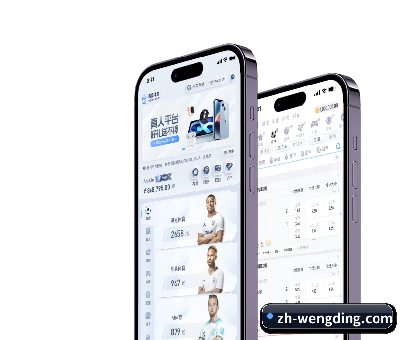 模块化服务矩阵,按项目与竞技维度科学分类